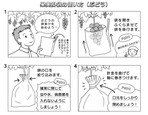 4コマぶどう用掛袋編公開