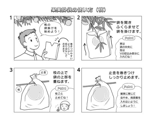 4コマ果実掛袋もも編公開