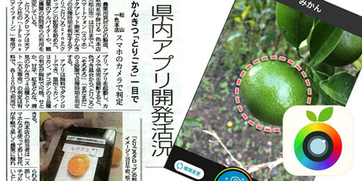 とりごろcrop 愛媛新聞