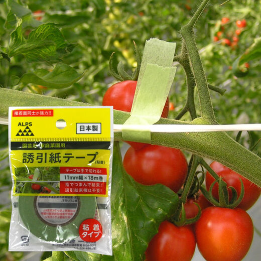 粘着誘引紙テープのパッケージ変更