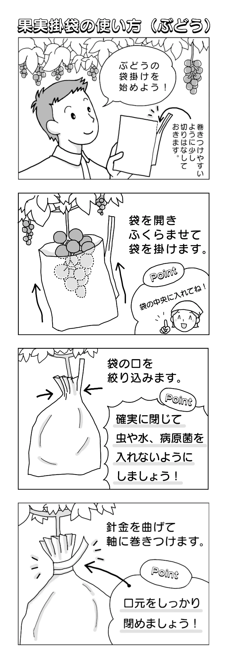 4コマで解説 ぶどう・なし・柑橘用掛袋の使い方