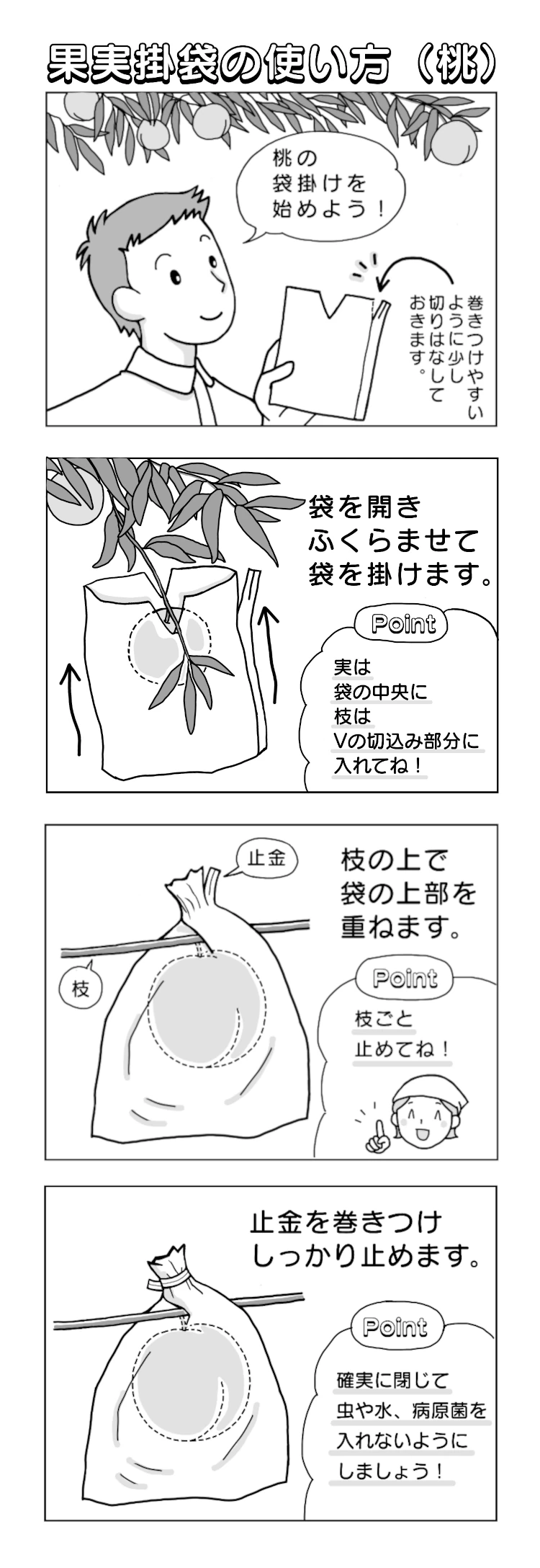 4コマで解説 もも用掛袋の使い方